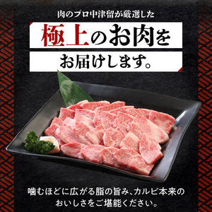 博多和牛 カルビ焼肉400g_博多和牛 カルビ焼肉 400g 和牛 牛肉 肉 やわらかい ジューシー カルビ 焼き肉 カルビ丼 チンジャオロース アレンジ レシピ 晩ごはん おかず お弁当 新鮮 切り