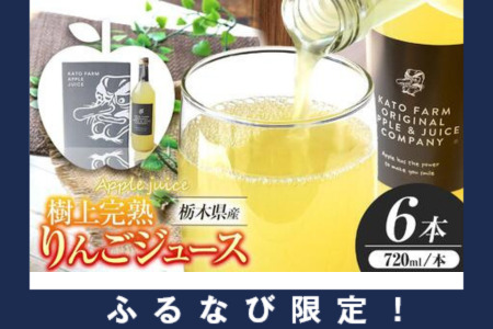 【ふるなび限定】栃木県矢板市産 樹上完熟100％りんごジュース 720ml×6本入  | 林檎 リンゴ 果汁100% 産地直送 FN-Limited-PR