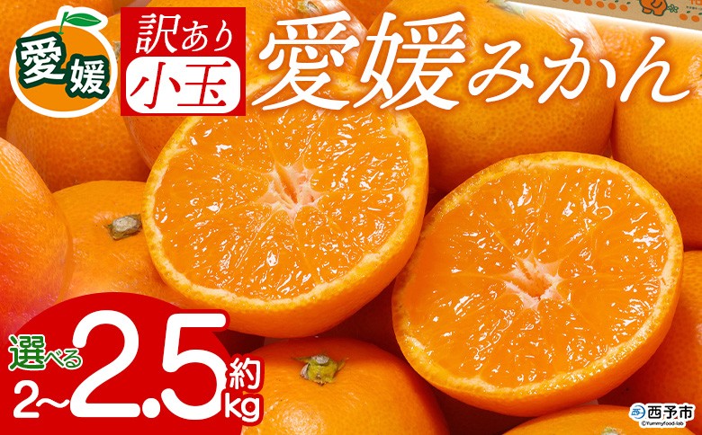 
                  【先行予約】＜訳あり愛媛県産小玉みかん 約2kg／2.5kg＞『2026年11月以降順次出荷予定』選べる 甘さ 凝縮 フレッシュ ご家庭用 ご自宅 蜜柑 果肉 果物 柑橘 フルーツオレンジ 国産 濃厚 果汁 産地直送 ミヤモトオレンジガーデン 愛媛県西予市【常温】
                