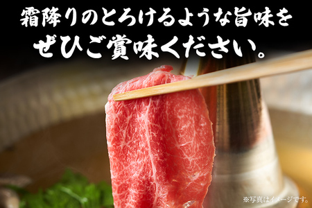 博多和牛 A-5等級 和牛肩ロースしゃぶしゃぶ用 500g 牛肉 和牛 福岡ブランド牛 肉 しゃぶしゃぶ お肉 ビーフ A5ランク ギフト 贈り物 食品 鍋 霜降り ディナー とろける