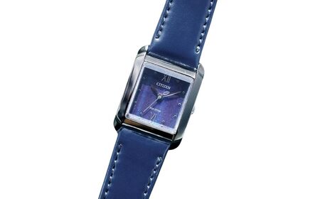 シチズン 腕時計 CITIZEN シチズン 日本製 電波 シチズンエル EW5597-63L | 所沢 FN-Limited-PR