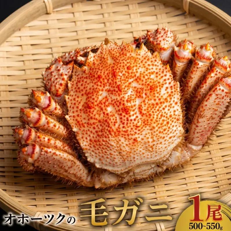【限定訳あり】北海道オホーツク産　毛ガニ　1尾　500ｇ前後 | 毛ガニ_AH002