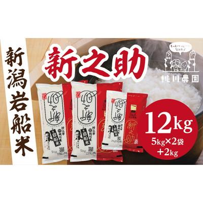 ふるさと納税 村上市 新米【令和7年産米】新潟県村上市産 新之助 精米 12kg B4073