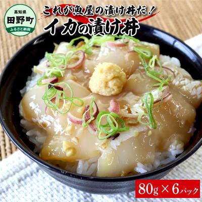 ふるさと納税 田野町 【四国一小さなまち】これが魚屋の漬け丼だ!〜イカ〜 80g×6P