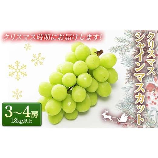 【令和7年産先行予約】 クリスマス シャインマスカット 1.8kg以上 (3～4房 秀) 《令和7年12月19日～発送》 『フナヤマ農園』 山形県 南陽市 [1693]