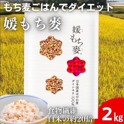 【ふるさと納税】媛もち麥1kg2袋セット／もち麦 麦ごはん 雑穀　 食物繊維豊富 食物繊維 もちもち プリプリ 食感 食品 食べ物 ご飯 おにぎり お弁当 主食 毎日 炭水化物 国産 日本産 愛媛県産 東温市産 直送 産地直送