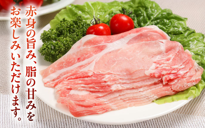 放牧豚ロース しゃぶしゃぶ 計1350g（150g×9）《厚真町》　【ファーマーズファクトリー株式会社】 [AXBA138]