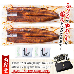 【定期便６回】大隅特産うなぎ蒲焼２尾（340g）【国産】 2480