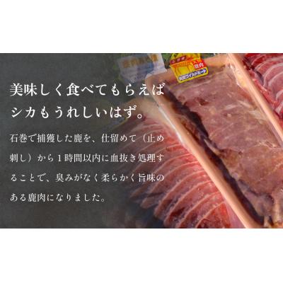 ふるさと納税 石巻市 石巻ジビエもも肉・みそ漬セット 冷凍 ニホンジカ 鹿 鹿肉 シカ肉 モモ肉 肉 お肉 味噌漬け 味付 |  | 01