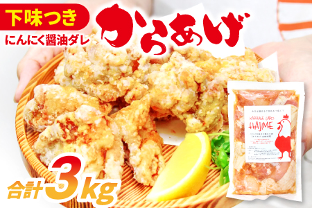 B-1061 ハジメのからあげ　秘伝ダレの下味付き鶏モモ肉（300g×10袋）