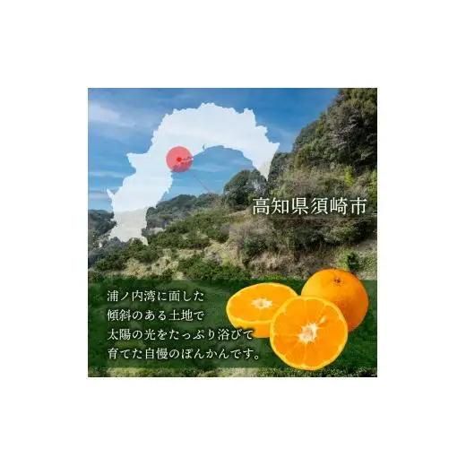 訳あり 浦ノ内ポンカン ぽんかん 5kg