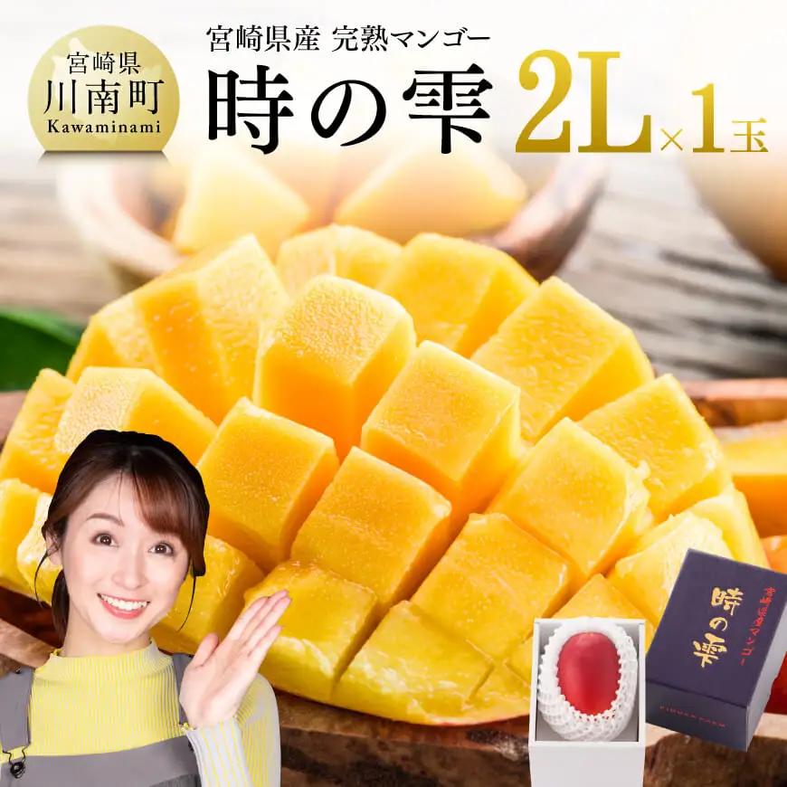 【令和8年発送】宮崎県産完熟マンゴー「時の雫」2L×1玉 フルーツ マンゴー
