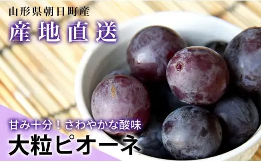 訳あり ぶどう シャインマスカット ピオーネ セット 詰め合わせ 食べ比べ 約 1kg 山形県 農家直送 2026 年発送 種なし 種無し ブドウ 葡萄 グレープ 果物 フルーツ 詰合せ 産地直送 家