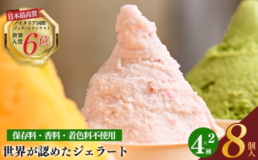 【 定期便 6回 】世界が認めた ！ mamma カップ ジェラート 詰め合わせ 8個セット ( 4種 ×各 2 ) | お菓子 おやつ アイスクリーム アイス クリーム 冷凍 いちご ほうじ茶 雪塩 バニラ こだわり 素材 ヘルシー イタリア イタリアン 専門店 存料不使用 香料不使用 合成着色料不使用 自慢 手作り低脂肪 低カロリー スイーツ 株式会社 テンダーボックス 奈良県 平群町