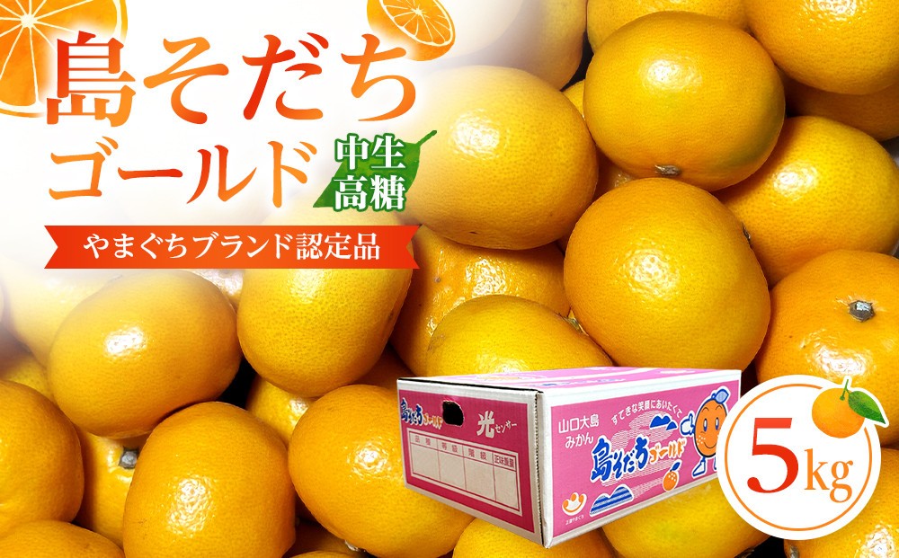 
                  【やまぐちブランド認定品】2026年12月頃より順次発送!島そだちゴールド(中生・高糖) 5kg
                