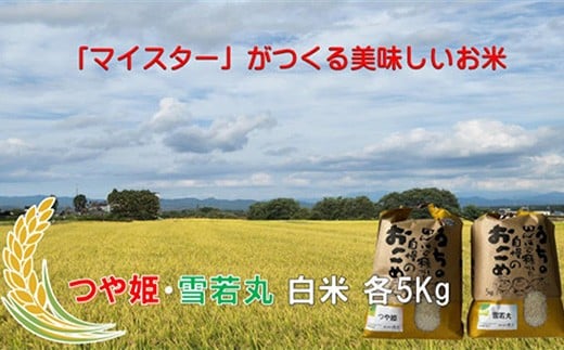 【ふるさと納税】マイスターがつくる　つや姫・雪若丸 食べ比べセット（飯豊町産）(R7年産）