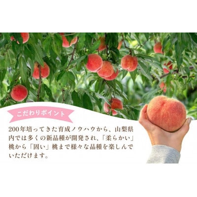【2026年発送 先行受付】山梨県山梨市産 桃 3kg (7～12玉)【配送不可地域：離島・沖縄県】