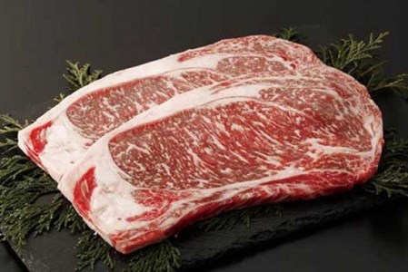 【矢野畜産】熊本県産 あか牛 ロースステーキ 400g 赤身 サシ プレミアムハンバーグ 150g 5個 750g 熊本 阿蘇 国産 あか牛 褐毛和種 あかげわしゅ 矢野畜産 にくやの 老舗 おうちごはん おうち時間 通販 贈答 ギフト 阿蘇の自然の宝物