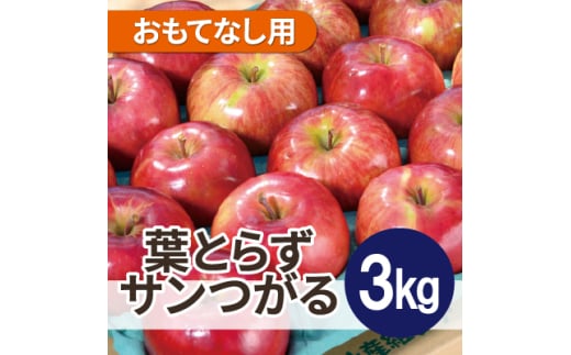＜2025年10月発送予定＞平均糖度12度以上! 葉とらずサンつがる 約3kg おもてなし用【1607040】