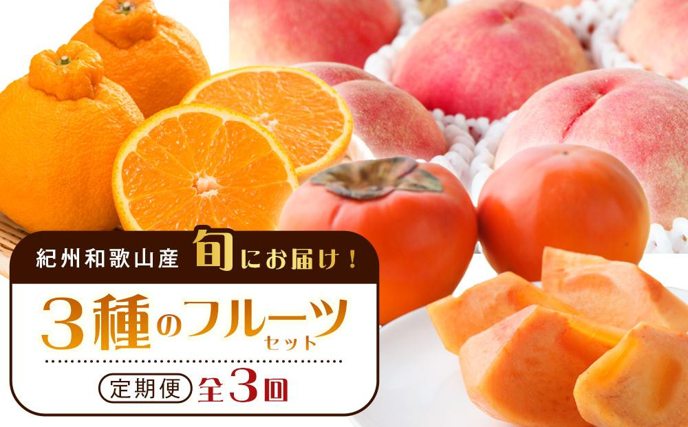 
            紀州和歌山産 旬にお届け！フルーツセット（不知火・桃・富有柿）【UT59】
          