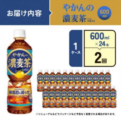 ふるさと納税 えびの市 【毎月定期便】やかんの濃麦茶 from 爽健美茶PET 600ml×24本1ケース(えびの市)全2回 |  | 01