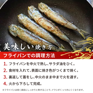 いわし 丸干し 約1.8㎏ 【 いわし 】