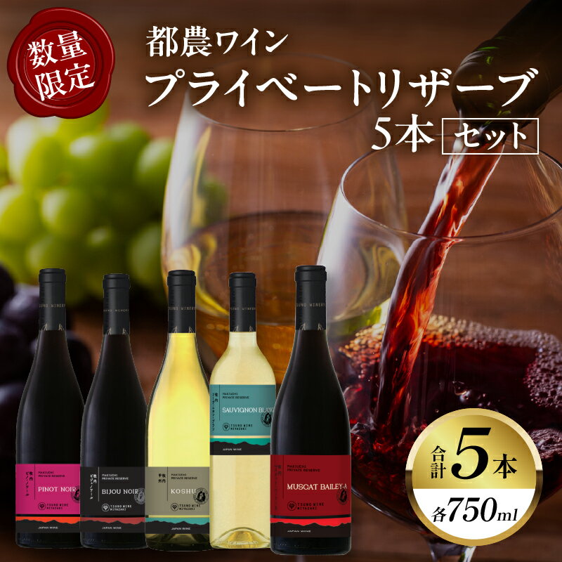 【ふるさと納税】【期間・数量限定】プライベートリザーブ 5本 セット 酒 飲料 アルコール 国産 飲み比べ 赤ワイン 白ワイン WINE ぶどう ご褒美 お祝 記念日 晩酌 お取り寄せ 人気 おすすめ BBQ バーベキュー 贈答品 プレゼント 都農ワイン 宮崎県 都農町 送料無料
