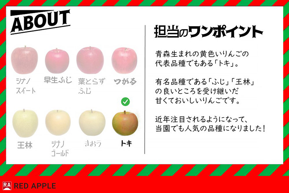 【25年10月〜発送】りんご【訳あり】家庭用 トキ 約10kg