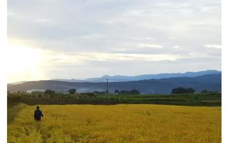 Riki-saku コシヒカリ 5Kg×2袋【アフコ・秋山農場のPB米】