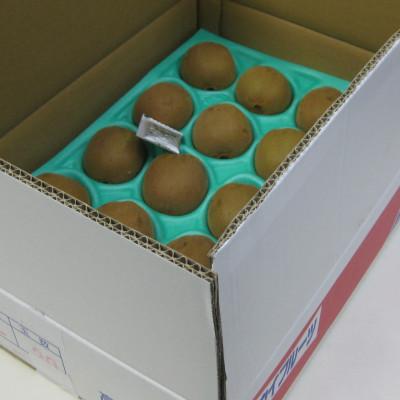 ふるさと納税 坂出市 さぬきゴールドキウイ　約3kg |  | 01