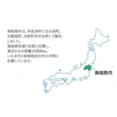 ふるさと納税 南相馬市 からみ漬 徳用サイズ 2.1kg(700g×3袋)  | 漬物 からみ漬 黒潮海苔店 |  | 01