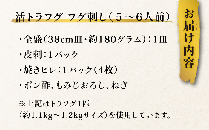 【長崎県産】活トラフグ フグ刺し（5〜6人前）  / ふぐ フグ とらふぐ トラフグ 刺身 河豚 ふぐ刺し / 南島原市 / ながいけ [SCH031]