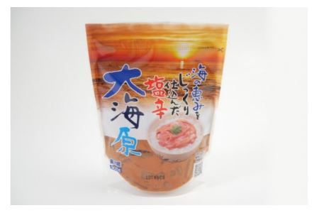海の恵みをじっくり仕込んだ塩辛 大海原 300g 5個セット 