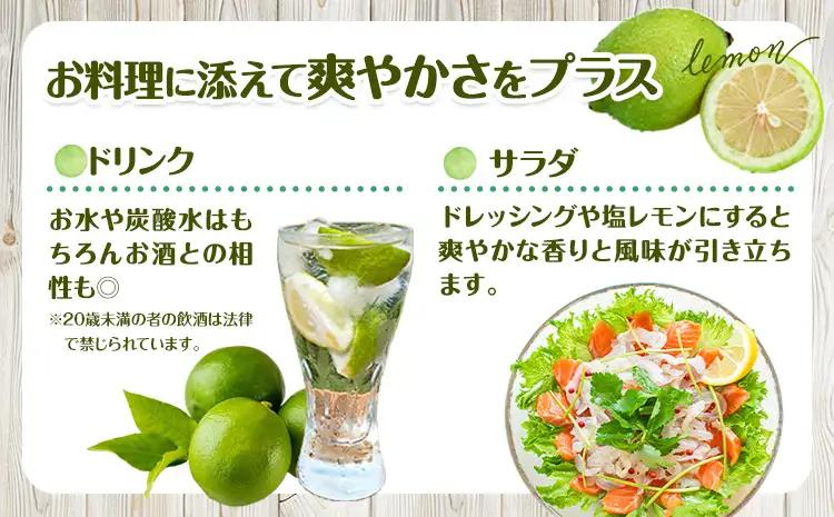 グリーン レモン 訳あり 3kg 三ツ山レモンファーム 檸檬
