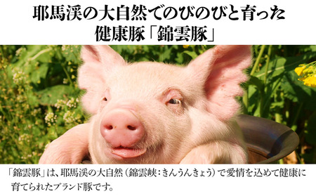 錦雲豚しゃぶ肉と角煮セット | お肉 肉 豚肉 しゃぶしゃぶ肉 豚バラ ロース 豚の角煮 きんうんとん ブランド豚 大分県産 九州産 福田農園 くうとん 国産 大分県 中津市
