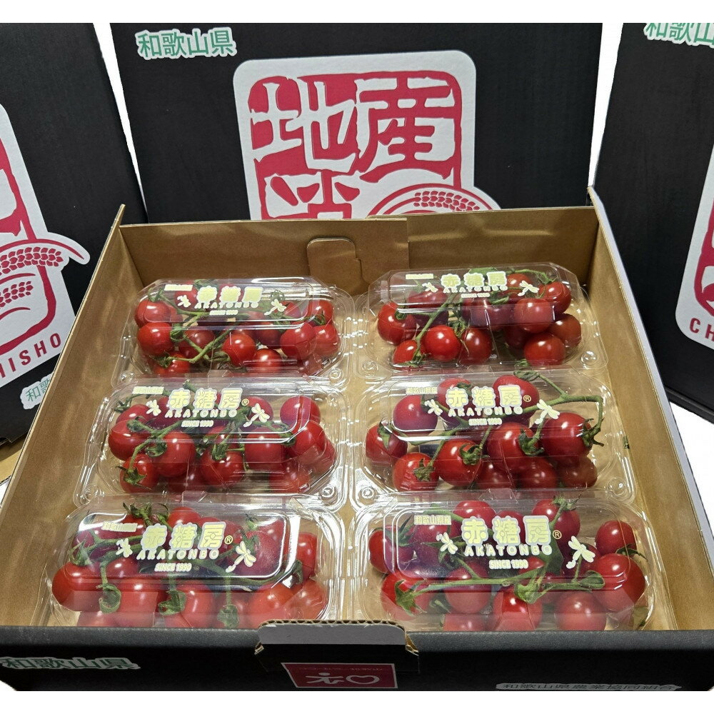 【ふるさと納税】赤糖房（ミニトマト）【160g×6パック】 | 和歌山県 印南町 和歌山 返礼品 支援 支援品 楽天ふるさと 納税 お取り寄せグルメ 取り寄せ グルメ ミニトマト トマト 野菜 やさい 新鮮野菜 新鮮 おいしい 美味しい ご当地 特産品