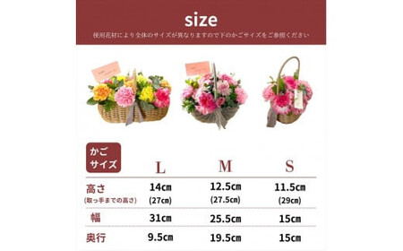 《母の日限定》カーネーションのバスケットアレンジメント(Sサイズ)イエロー系＜出荷時期：2026年5月6日～5月9日＞