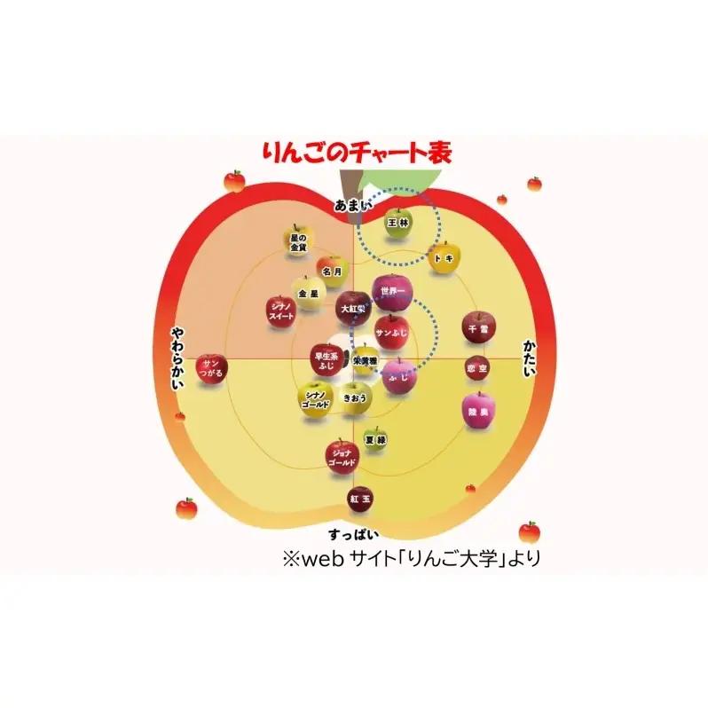りんご詰合せ サンふじ王林 青森県産 家庭用 りんご詰合せ【約5kg】【12月発送】