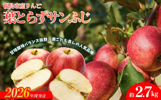 No.1924 ふくしまのりんご 葉取らずサンふじ 贈答用　約2.7kg【2026年度発送】