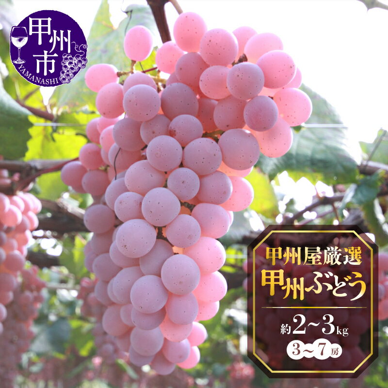 【ふるさと納税】 ぶどう 甲州ぶどう 選べる内容量 約2kg 約3kg 3～7房 箱詰め 甲州種 甲州市 勝沼町岩崎産 2025年発送 10月 発送 厳選 果実 果物 くだもの フルーツ 山梨県産