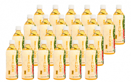 福岡 八女茶 煎茶 500ml×24本入り＜一般社団法人地域商社ふるさぽ＞那珂川市 お茶 緑茶  12000 12000円 [GBX033]