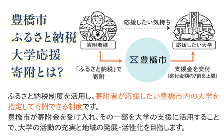 ≪返礼品無し≫【豊橋創造大学】豊橋市大学応援寄附 30000円 大学寄附 愛知県豊橋市への寄附 返礼品無し 寄附のみ 豊橋市 穂の国 東三河 30000円 ポッキリ 愛知県 豊橋市