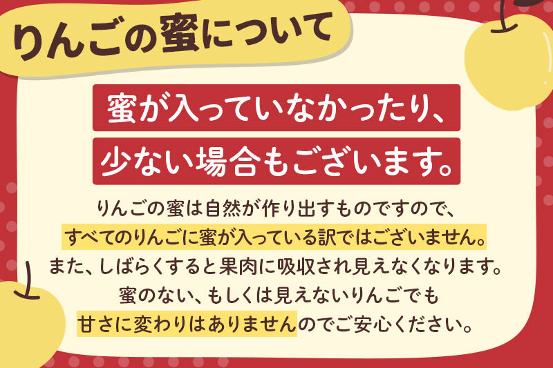【先行受付】12月上旬より発送 樹上完熟サンふじ ご家庭用 約3kg（8～12玉前後） [先行予約 サンふじ サンフジ 林檎 リンゴ 家庭用 不揃い おまかせ 【りんご】特集]