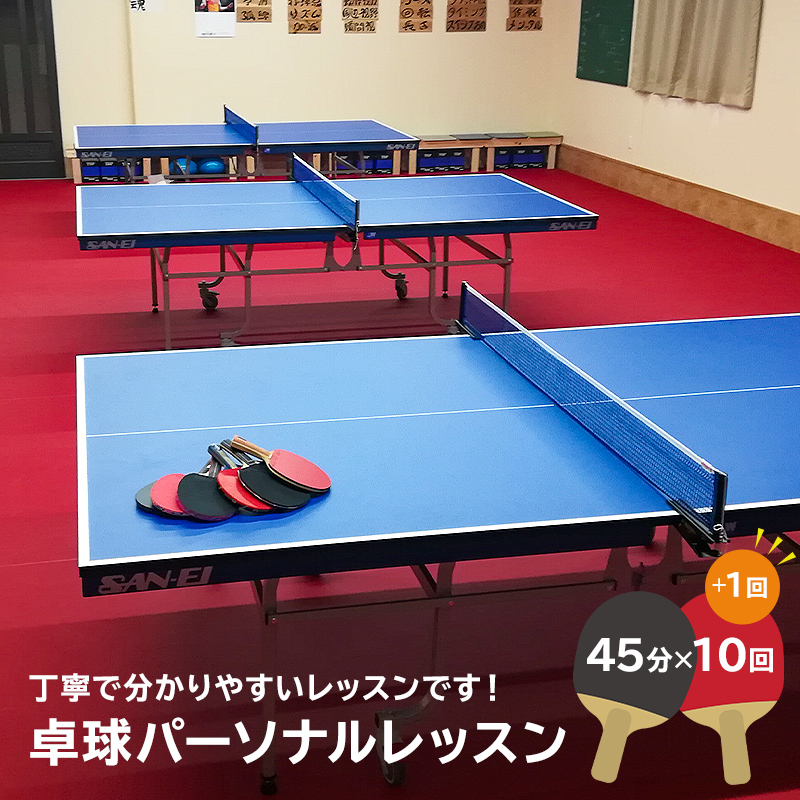 卓球パーソナルレッスン（45分×11回）【0075-003】