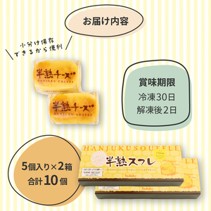 半熟スフレ チーズケーキ10個 5個入り 2箱 贈答 ギフト おすすめ 菜菓亭 新潟銘菓 新潟 新発田 いえい 菜菓亭 洋菓子 お歳暮 iei001_01