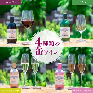 【モンデ酒造ふるさと納税】プティモンテリアシリーズ各種6本セット（やや辛口/白・やや重口/赤・やや辛口/白スパークリングワイン・やや辛口/ロゼスパークリングワイン 全24本） 018-018