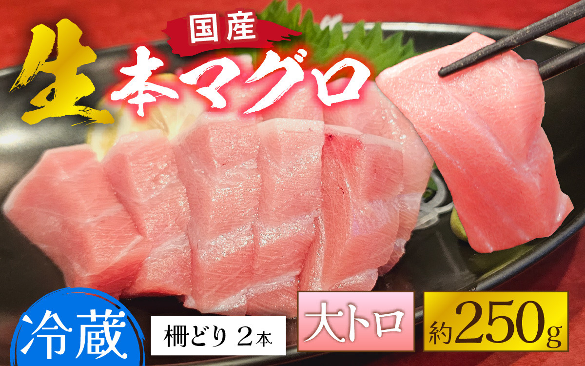 
            【冷蔵・指定日着可】生本マグロ大トロ 約250g 2～3人前 [A-066007]
          