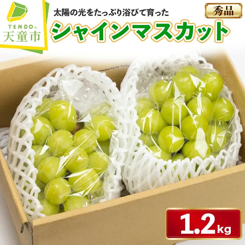 シャインマスカット 約 1.2kg シャインマスカット ぶどう 山形