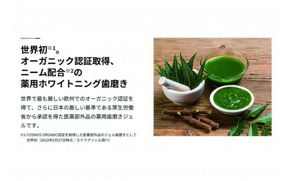 【ハーブフレーバー】薬用 BIOホワイトニングジェル(朝用)＆薬用BIOホワイトニング ジェル(夜用)　２本セット