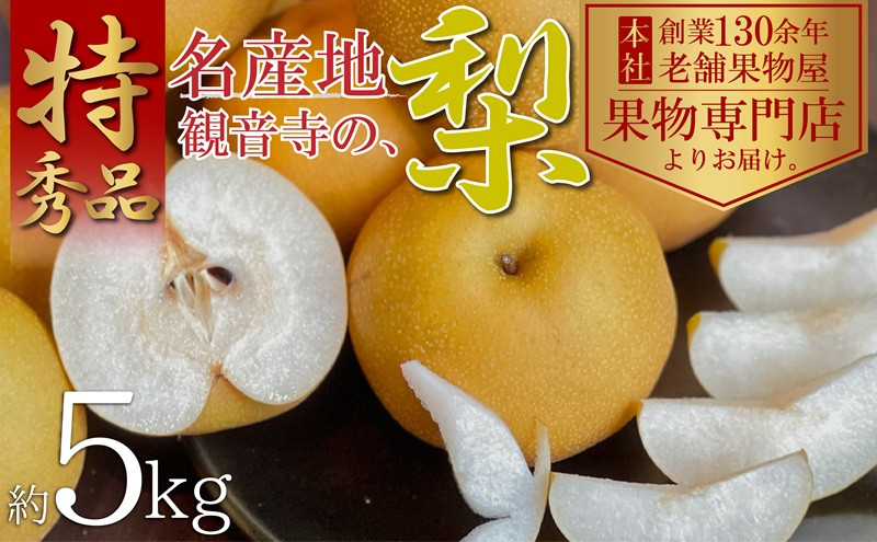 
            【2025年先行予約】特秀品！観音寺の梨（豊水・南水）約5kg 果物 フルーツ デザート おやつ 食後 国産 日本産 産地直送 みずみずしい シャキシャキ
          
